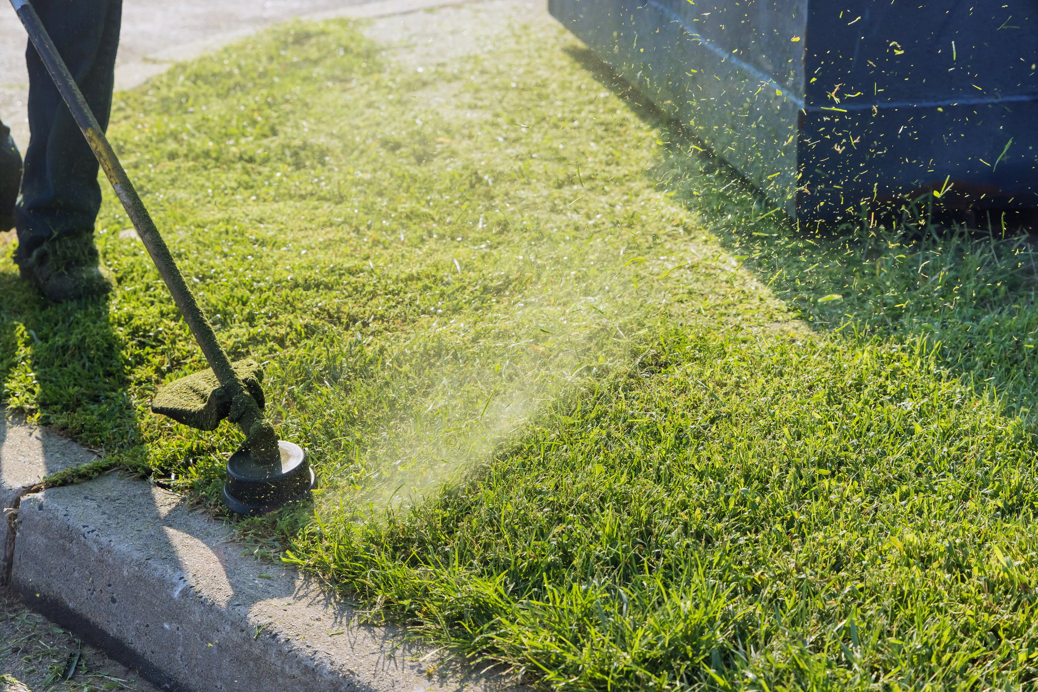 Close up on String Trimmer Head Weed Cutter Brushcutter Working in the Yard Cutting Grass in Garden